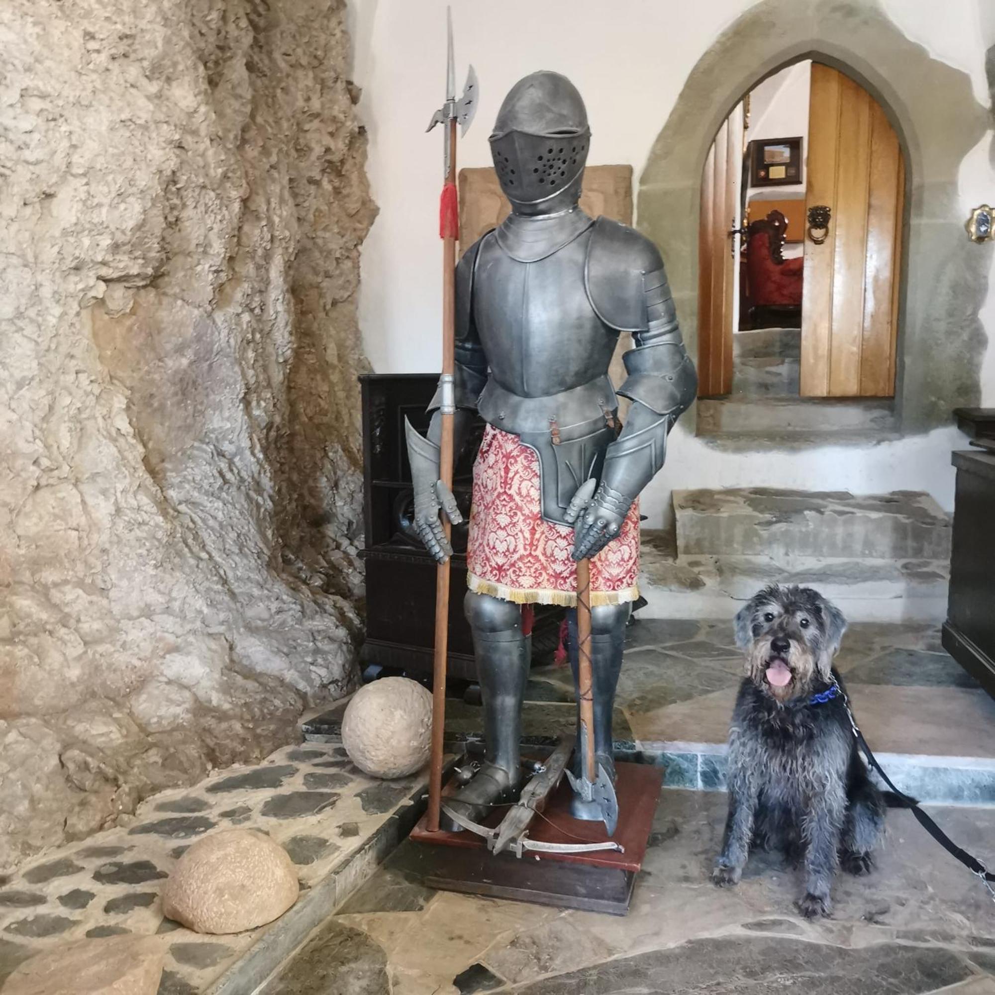 Burg Hermannstein - Kings Room Wetzlar Esterno foto